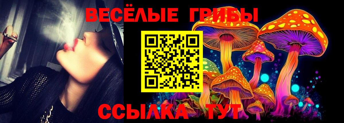 Псилоцибиновые грибы мухоморы  Вход с VPN  Вичуга 